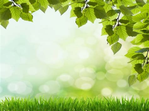 🔥 Download Beautiful Green Grass Background For Powerpoint ...