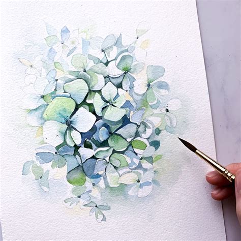 Learn how to paint hydrangeas with watercolors Hydrangeas Art ...