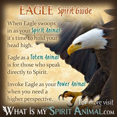 Eagle Symbolism & Meaning | Spirit, Totem & Power Animal