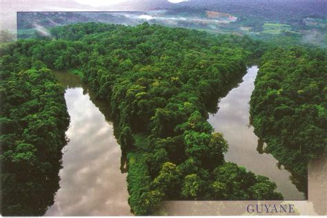 Postcard A La Carte: French Guiana - Aerial view of jungle rivers