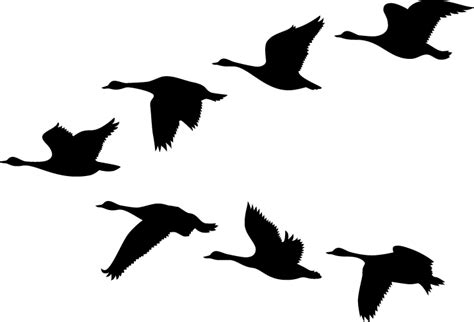 Flying Geese Silhouette at GetDrawings | Free download