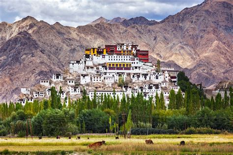 L’India ad alta quota: da Leh alla scoperta del Ladakh - Lonely Planet