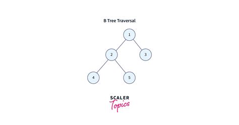 B Tree Index - Scaler Topics