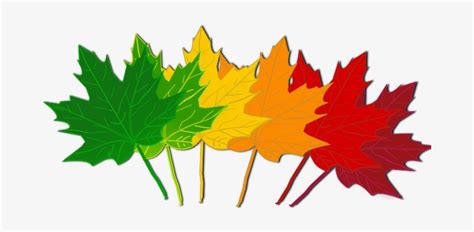 Fall Leaves Clip Art - September Fall Leaves Clip Art Transparent PNG ...