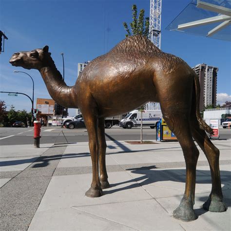 Camel Sculpture | Animal Sculptures | Life Size Animal Statue