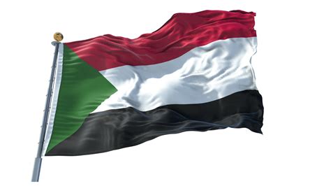 Palestine Flag PNG 12300976 PNG