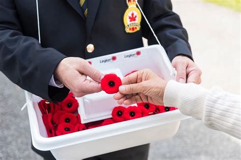 Royal Canadian Legion national poppy campaign kicks off in Nipissing ...