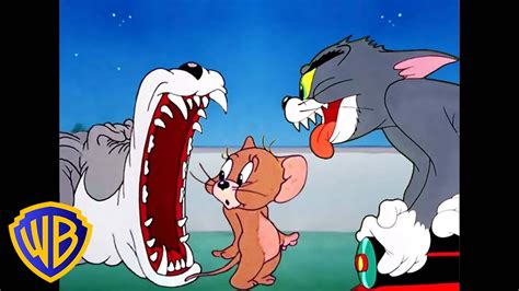 Funny Cartoon Pictures Tom And Jerry - Infoupdate.org