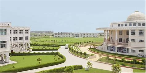 Noida International University Noida 2024-25: Fees, Cutoff, Course