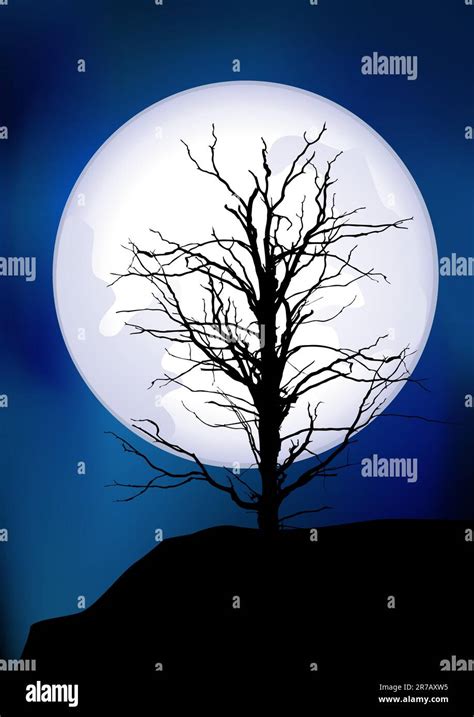 Full moon and tree silhouette Stock Vector Image & Art - Alamy