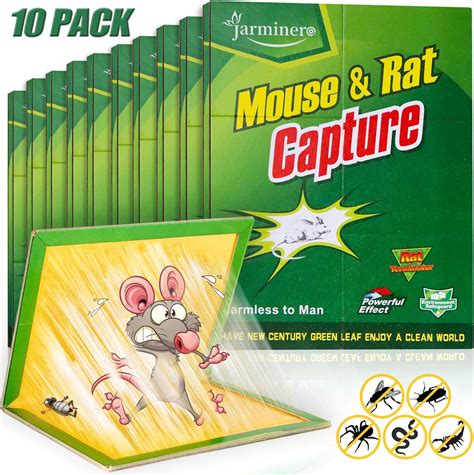 Amazon.com : Mouse Traps, Humane Mouse Glue Trap, 10 PCS Rat/Mice Traps ...