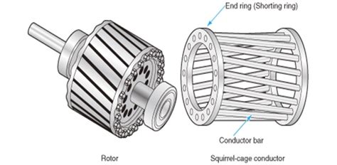 Difference Between Squirrel Cage And Wound Rotor Induction Motor Pdf ...