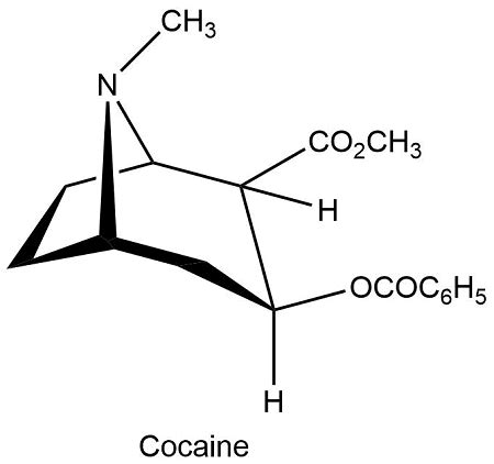 Identify the different kinds of carbonyl functional groups in the ...