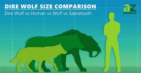 Dire Wolf Size Comparison - IMP WORLD