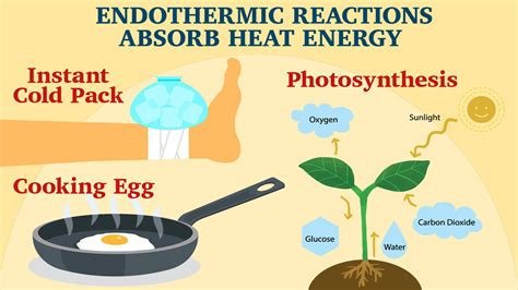 Endothermic Reaction Examples For Kids