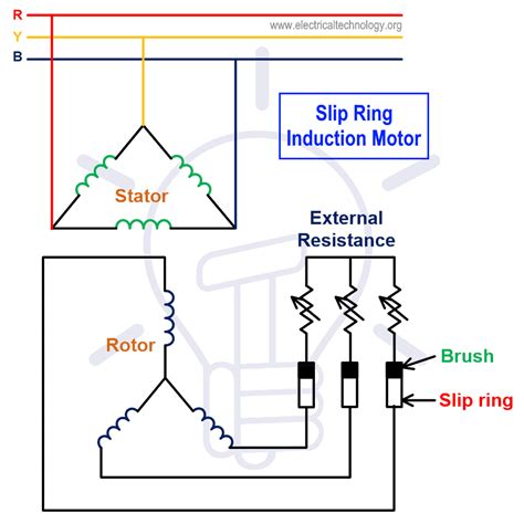 Three Phase Induction Motor: Types, Working, and Applications