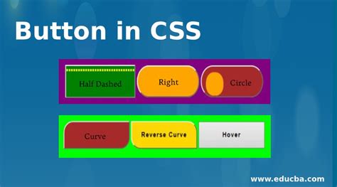 Button in CSS | Guide to Button in CSS with Some Property Declarations