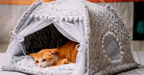 Make this simple DIY cat tent using just a few household items