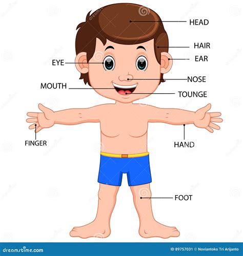 [DIAGRAM] Caterpillar Body Parts Diagram - MYDIAGRAM.ONLINE