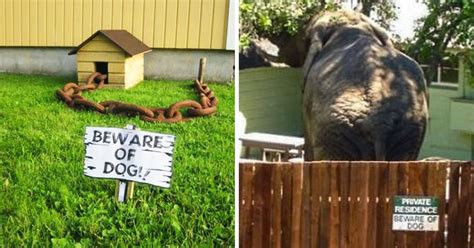 15+ Funny “Beware of the Dog” Signs and the Very Dangerous Dogs Behind ...