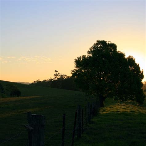 Sunshine Coast Hinterland 1: sea/sun – Chez Moi