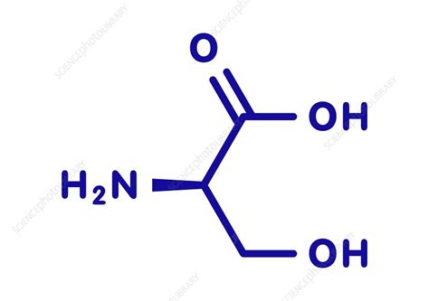 D-serine amino acid molecule, illustration - Stock Image - F030/5530 ...