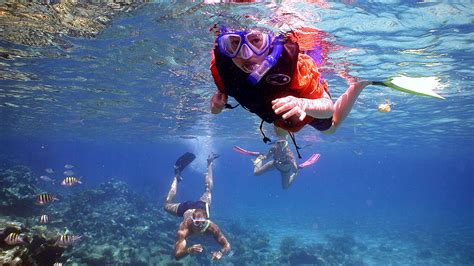 12 Facts About Snorkeling - Facts.net