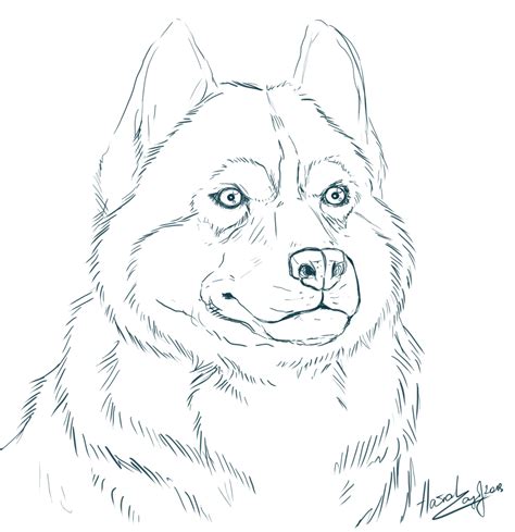 Husky clipart coloring page, Husky coloring page Transparent FREE for ...