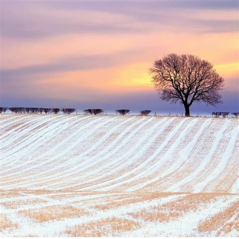 🔥 [50+] Snowy Fields Wallpapers | WallpaperSafari