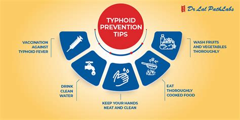 Symptoms of Typhoid Fever - Dr Lal PathLabs Blog