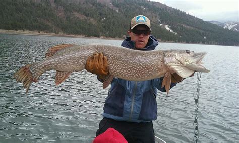 Northern Pike Fishing Tips. How to fish for pike the right way [2024]