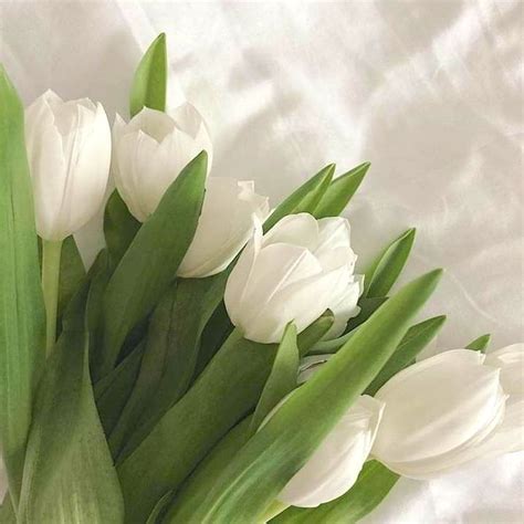 Lili Artificial Tulips in 2022 | Flower aesthetic, Nothing but flowers ...