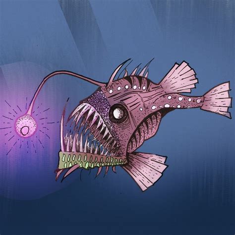 Pin by Studio_hxh on Drawing | Angler fish, Drawings, Fish