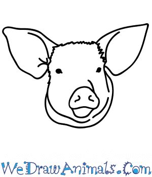 How to Draw a Pig Face