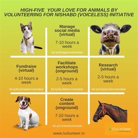 iVolunteer | Fundraising volunteer for Animal Welfare Program