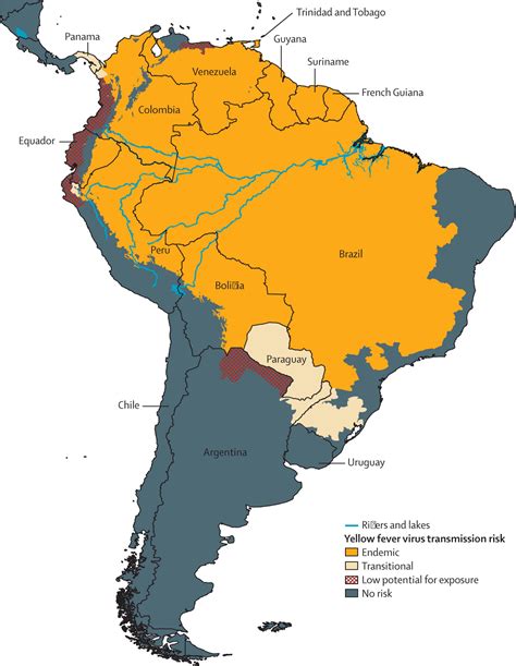 The revised global yellow fever risk map and recommendations for ...