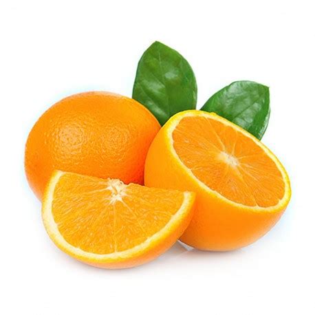 Florida Oranges