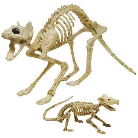 Skeleton Cat and Rat Skeleton for Halloween Decorations, Skeleton ...