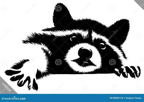 Raccoon Vector Eps Hand Drawn, Vector, Eps, Logo, Icon, Crafteroks ...