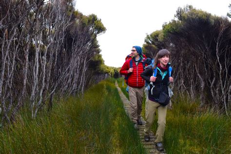 Hiking Coast to Coast on Stewart Island - NZ Pocket Guide