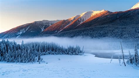 Forest Snowy Winter Mountains Wallpaper, HD Nature 4K Wallpapers ...