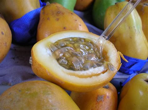 Five Fruits You Must Try While You are in Costa Rica - RipJack Inn