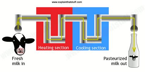 How Pasteurization Of Milk Works