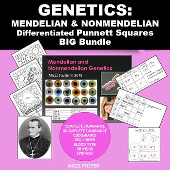 Genetics Bundle: Mendelian and non-Mendelian Punnett Squares PPt, WS ...