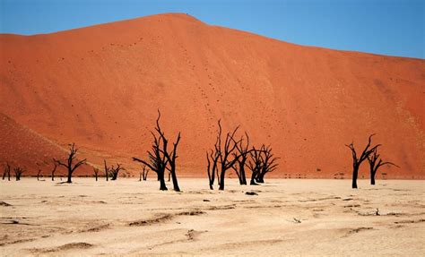 Namib Desert Africa