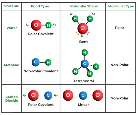 Metallic Bond Examples List