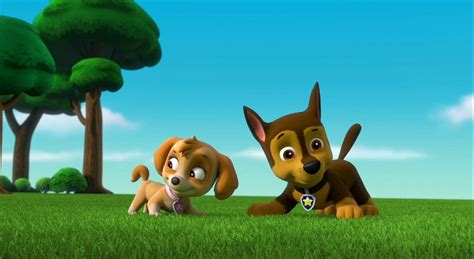 Pin by Thomas Ash on Skye x Chase | Chase paw patrol, Paw patrol pups ...