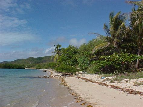 Prince of Wales Island – Torres Shire Council