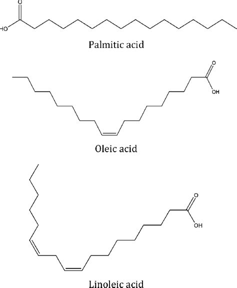 Major fatty acids of the two oils | Download Scientific Diagram