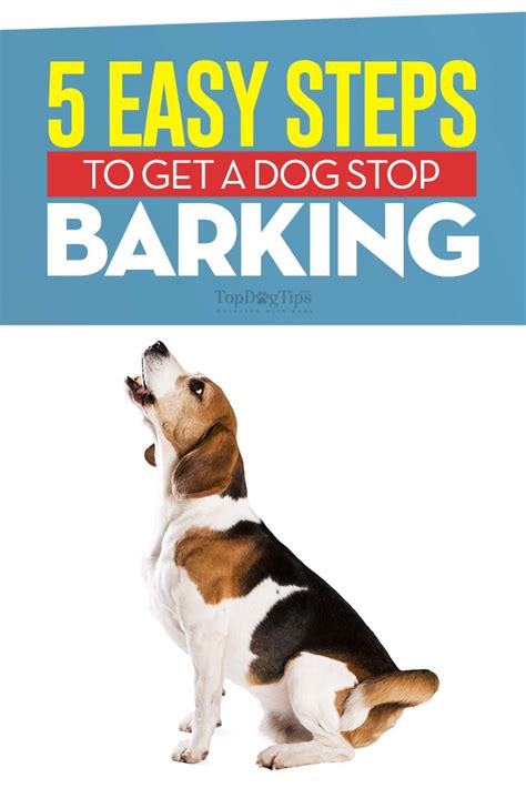 How to Get a Dog to Stop Barking: 5 Most Effective Methods